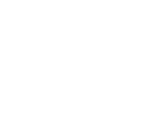 ikamu-braai-logo2